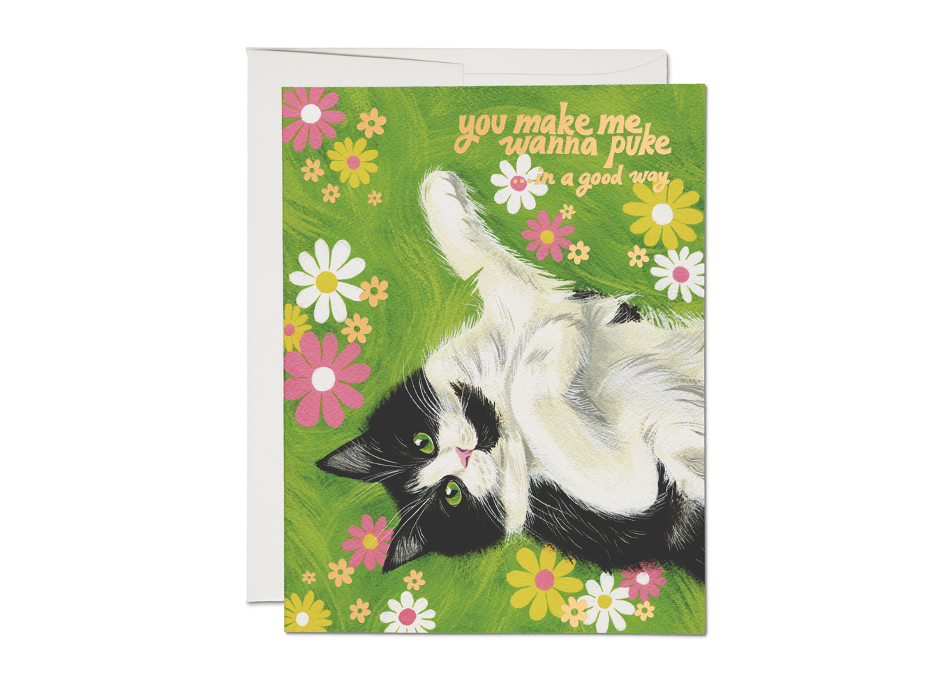 "Nice Kitty" Greeting Card