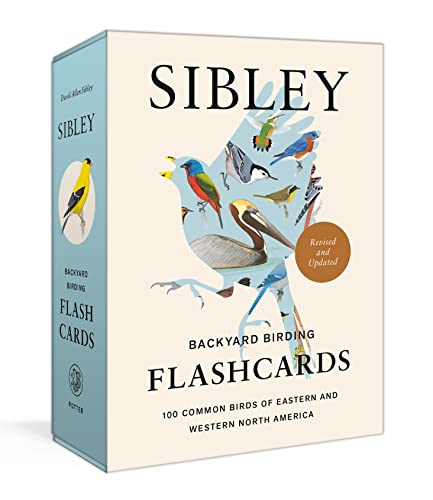 Sibley Backyard Birding Flashcards, Revised and Updated: 100 Common Birds of Eastern and Western North America - Sibley, David Allen Cover Image