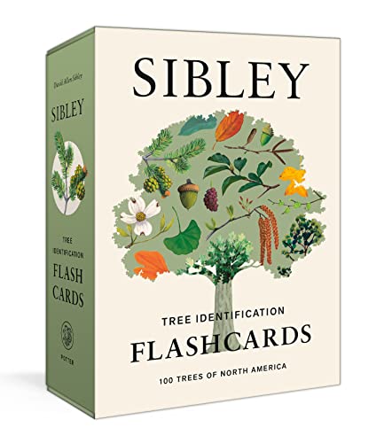 Sibley Tree Identification Flashcards: 100 Trees of North America - Sibley, David Allen Cover Image