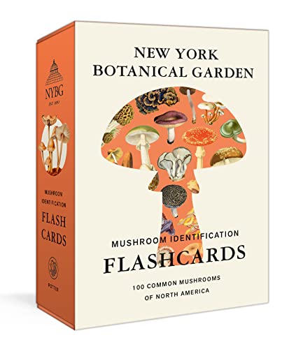 New York Botanical Garden Mushroom Identification Flashcards: 100 Common Mushrooms of North America - The New York Botanical Garden Cover Image